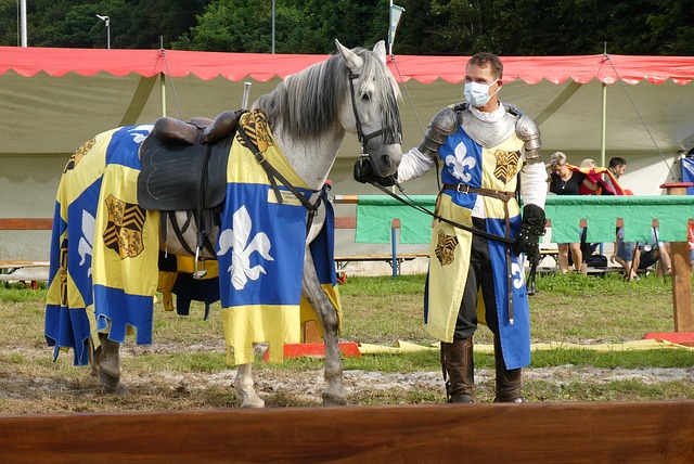 荣誉的关键 荣誉的关键