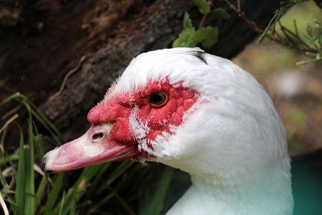 赛程紧密 赛程紧密