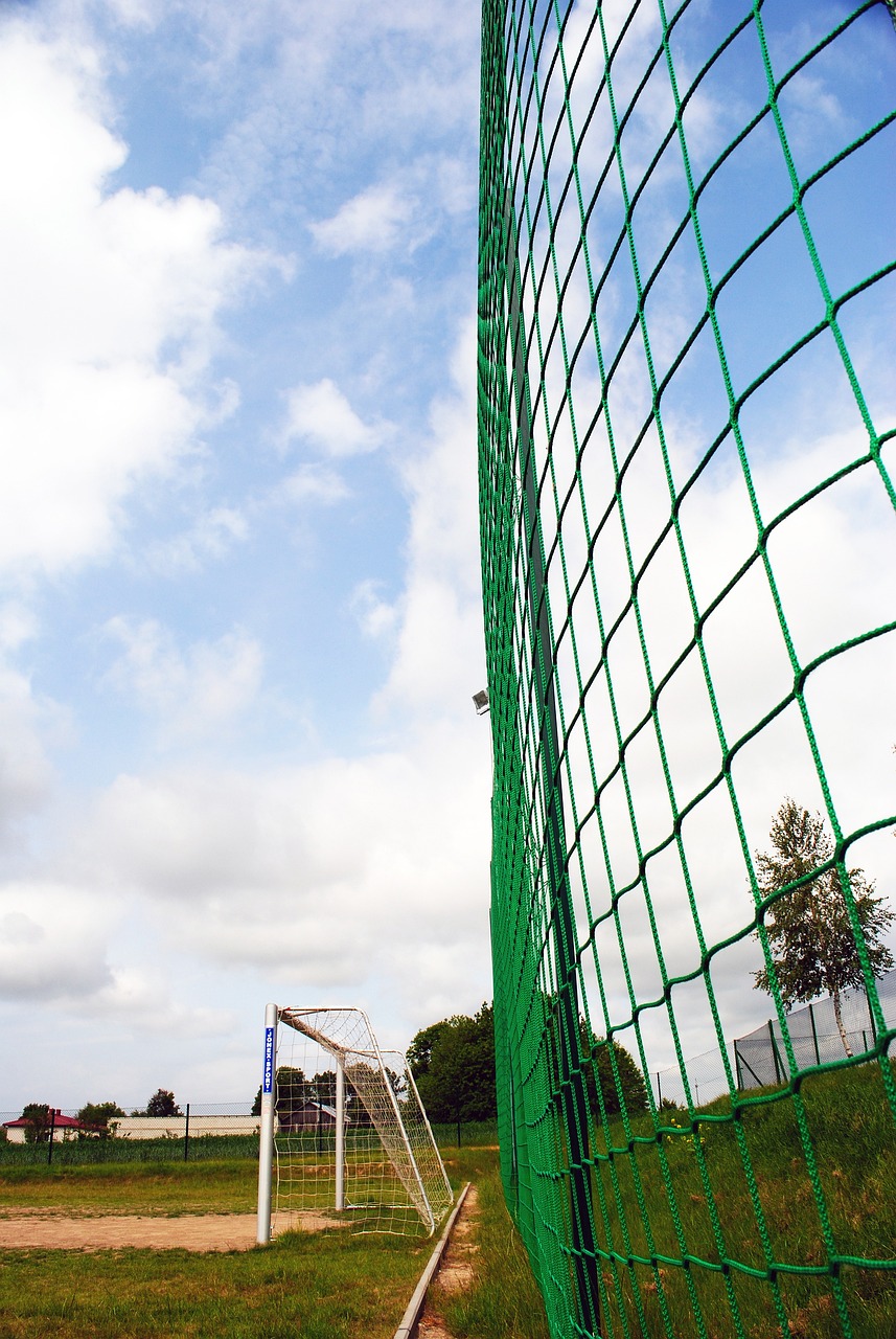 灵活性使他 灵活性使他