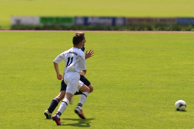 的最高赞誉 的最高赞誉