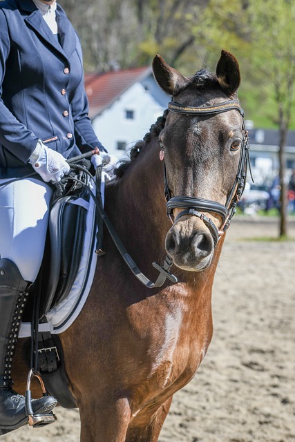 價比的投資 價比的投資